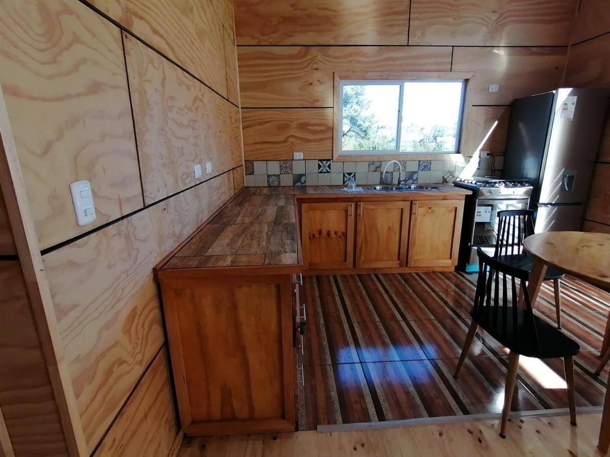 Appartement Cabana Rinconcito Chilote à Castro Extérieur photo